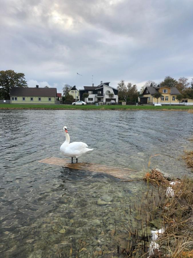 Viigi Villa Haapsalu Zewnętrze zdjęcie